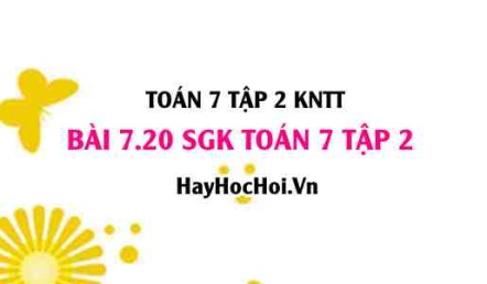 Bài 7.20 SGK Toán 7 tập 2 Kết nối tri thức